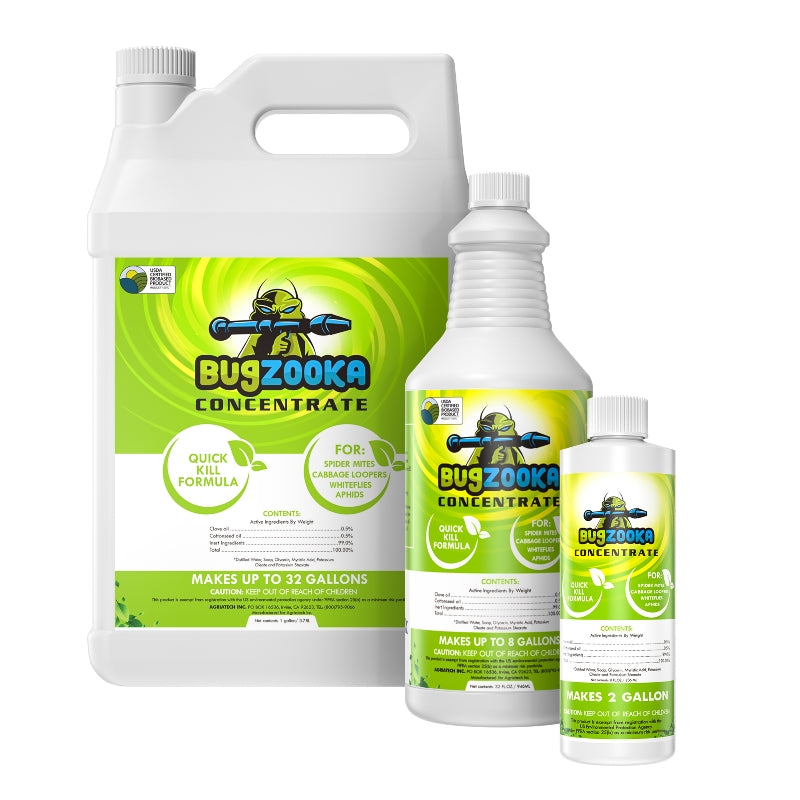 Safe and Effective Natural Insecticide